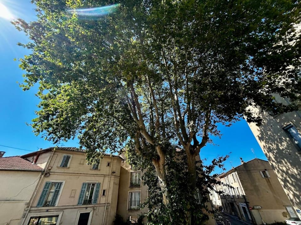 Neighbourhood
