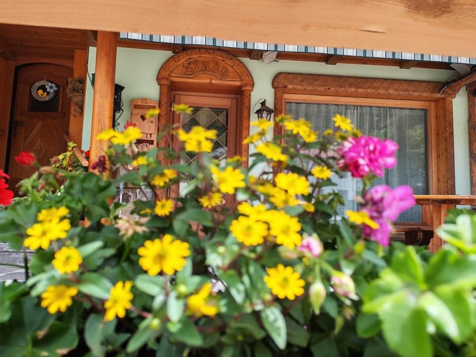 Dolom Stube apartment-lodge on the ground floor Apartment in Veneto