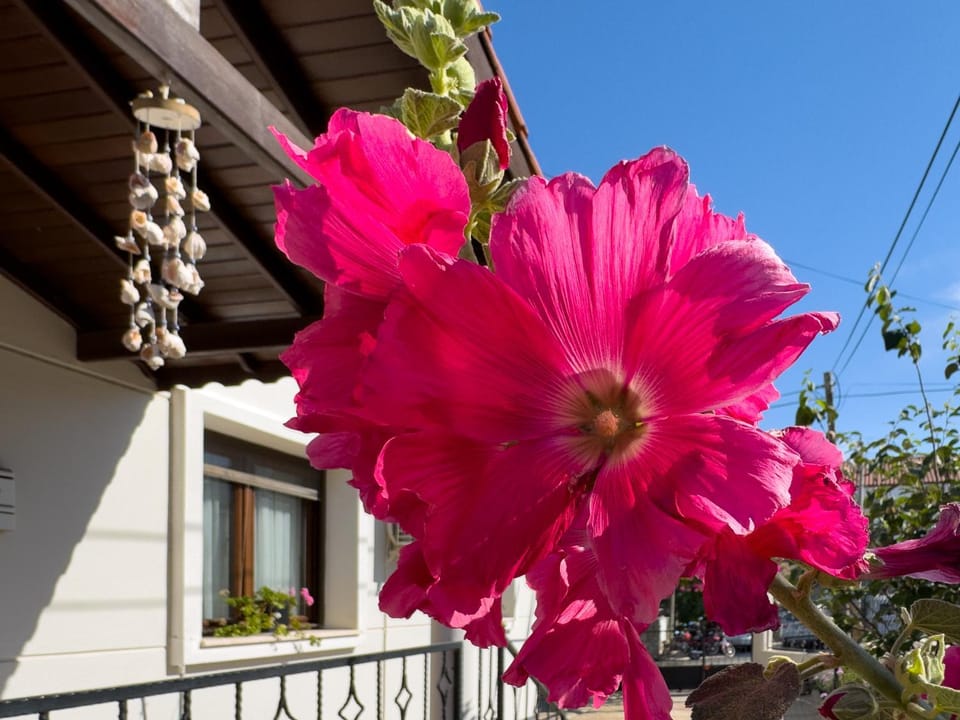 Luxury Stone Villa in the Heart of Datça for 10 People Villa in Muğla Province