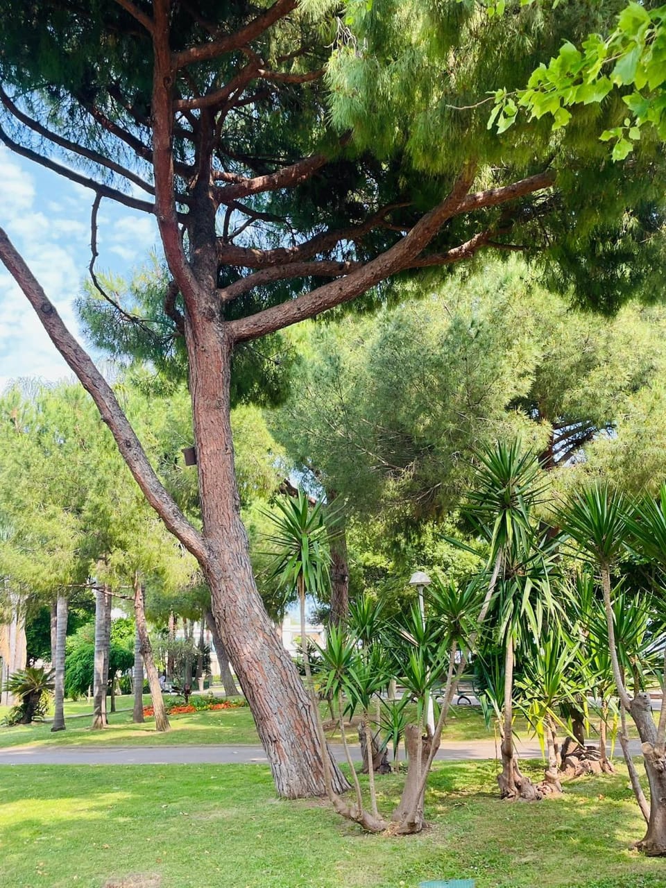 Magnifique 2 chambre au bord des plages centre de cannes entièrement climatisé Apartment in Cannes