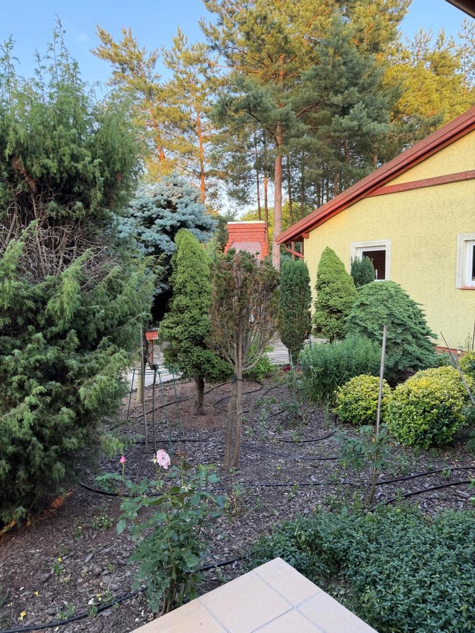 Property building, Spring, Day, Garden, Garden view