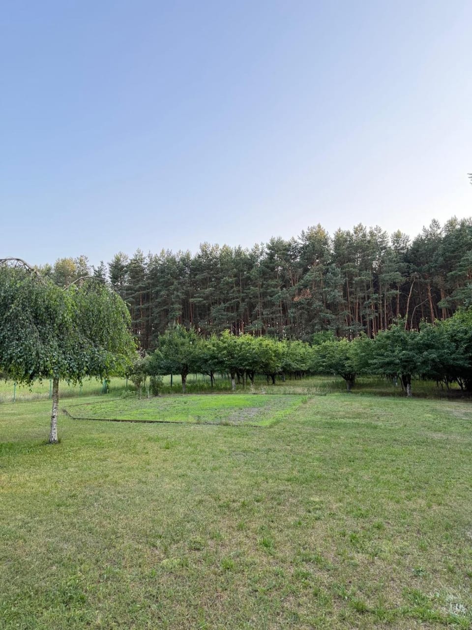Spring, Day, Natural landscape, Garden, Spa and wellness centre/facilities, Garden view, pet friendly, pet friendly