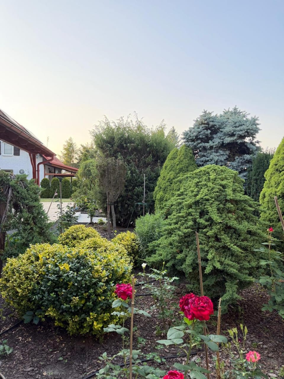 Spring, Day, Garden, Garden view