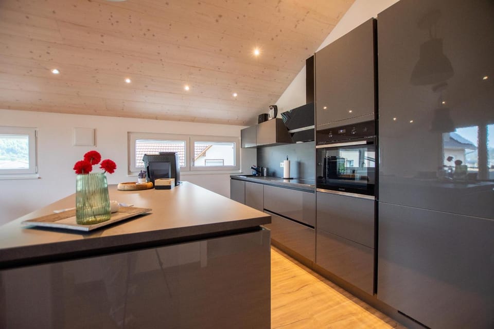 Kitchen or kitchenette, kitchen