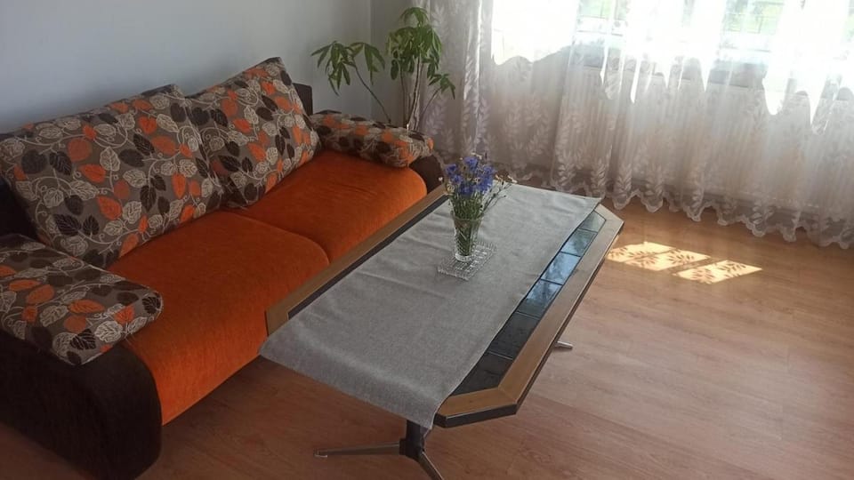 Zielony Azyl large 2 bedroom apartment with balcony and free parking Apartment in Poland