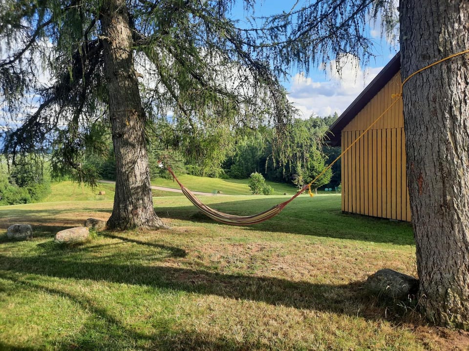 Kļūda1 House in Latvia