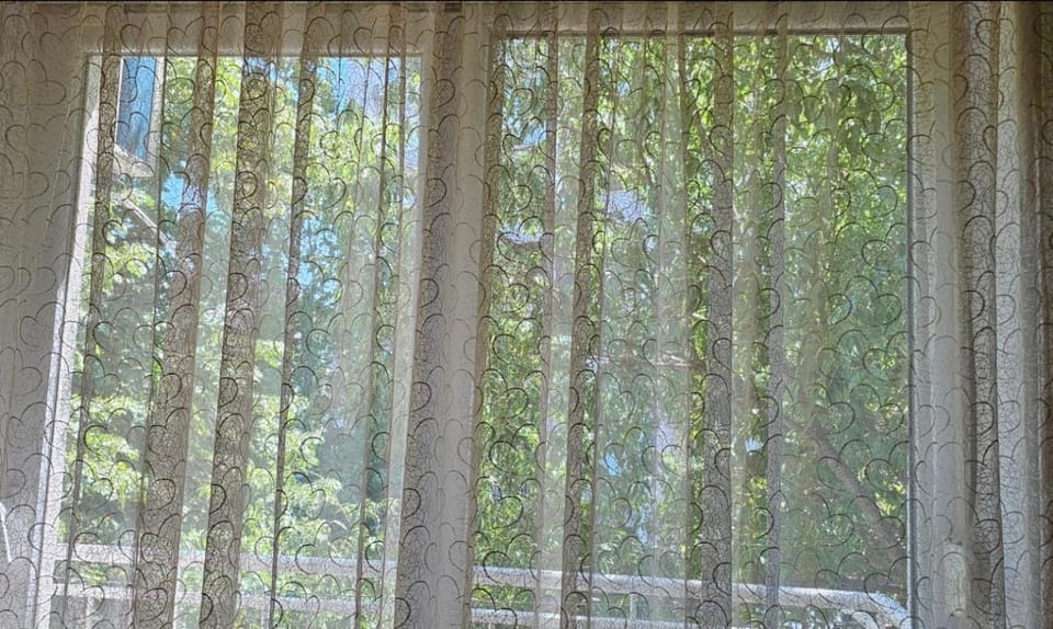 Milenijum Apartment in Podgorica