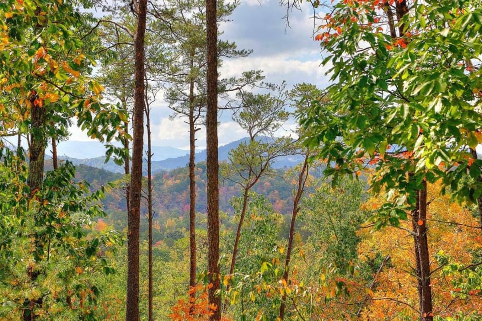 Dances with Wolves-Hot tub, Swing, Large yard House in Pigeon Forge