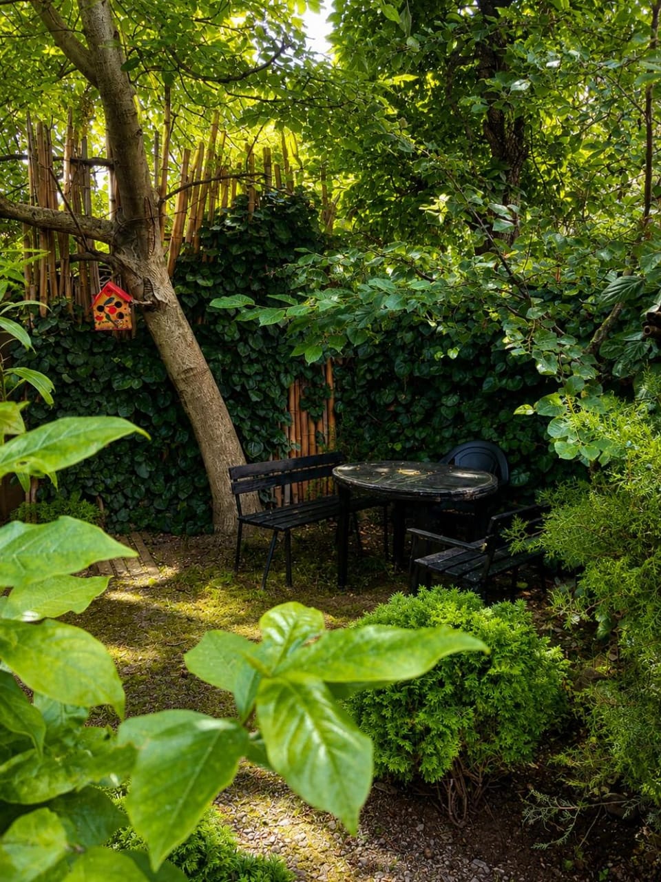 Guest House Germani Bed and Breakfast in Georgia