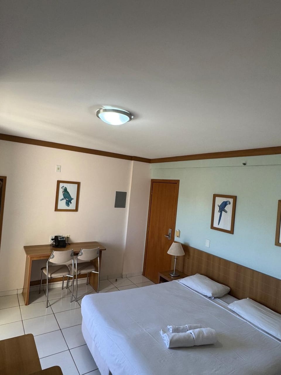 Golden Dolphin Grand Hotel - Suite 419 Apartment in State of Goiás