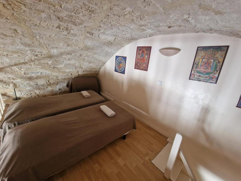 50 m2 loft with vaulted ceilings center of Montpellier Apartment in Montpellier