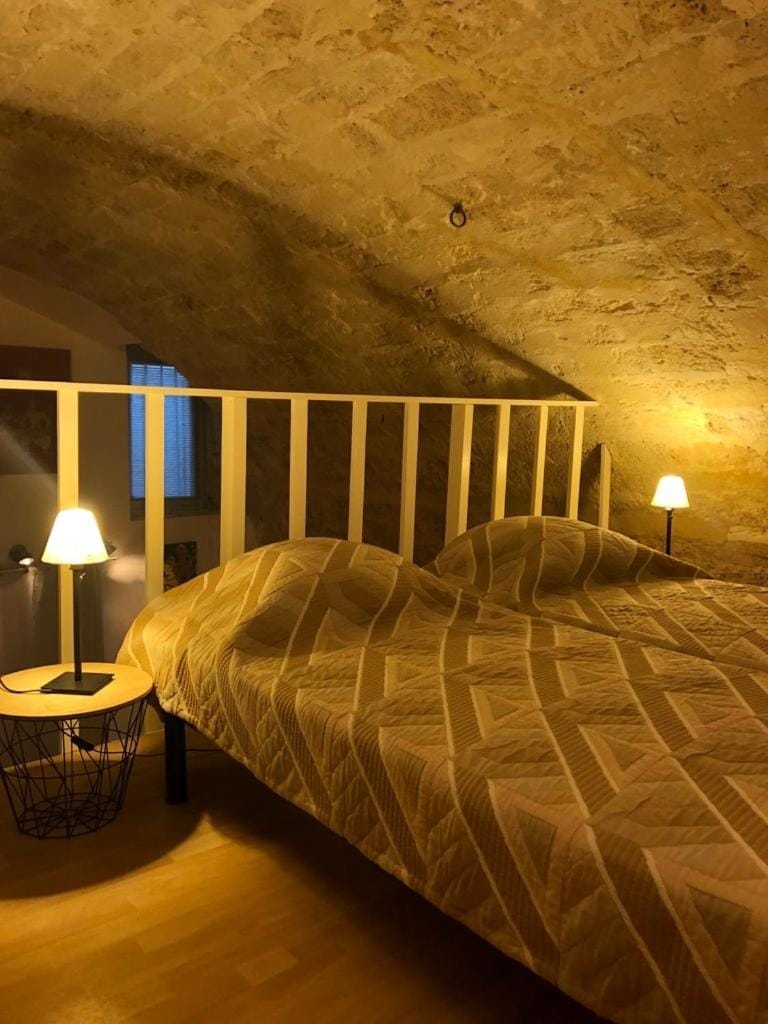 50 m2 loft with vaulted ceilings center of Montpellier Apartment in Montpellier