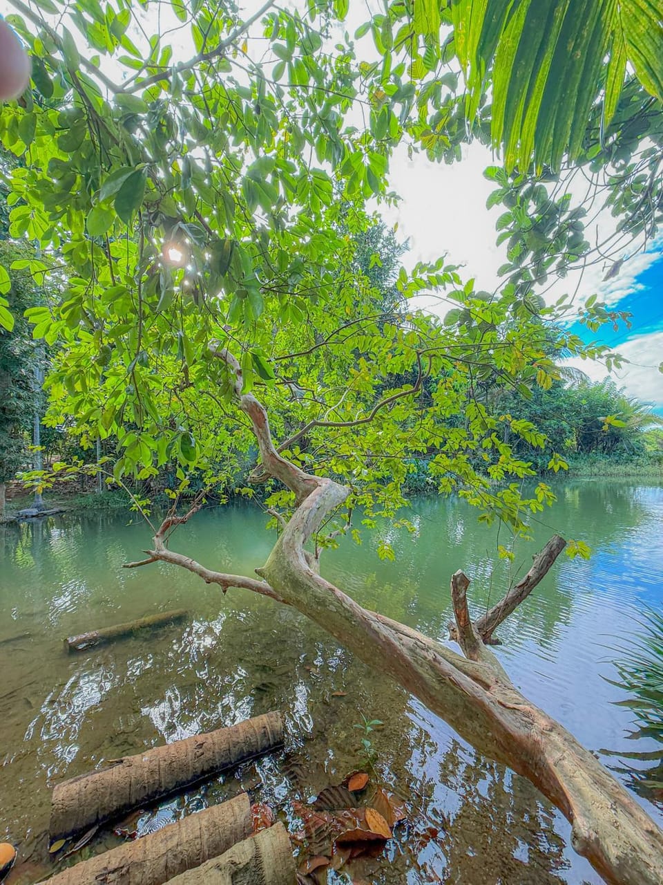 River view
