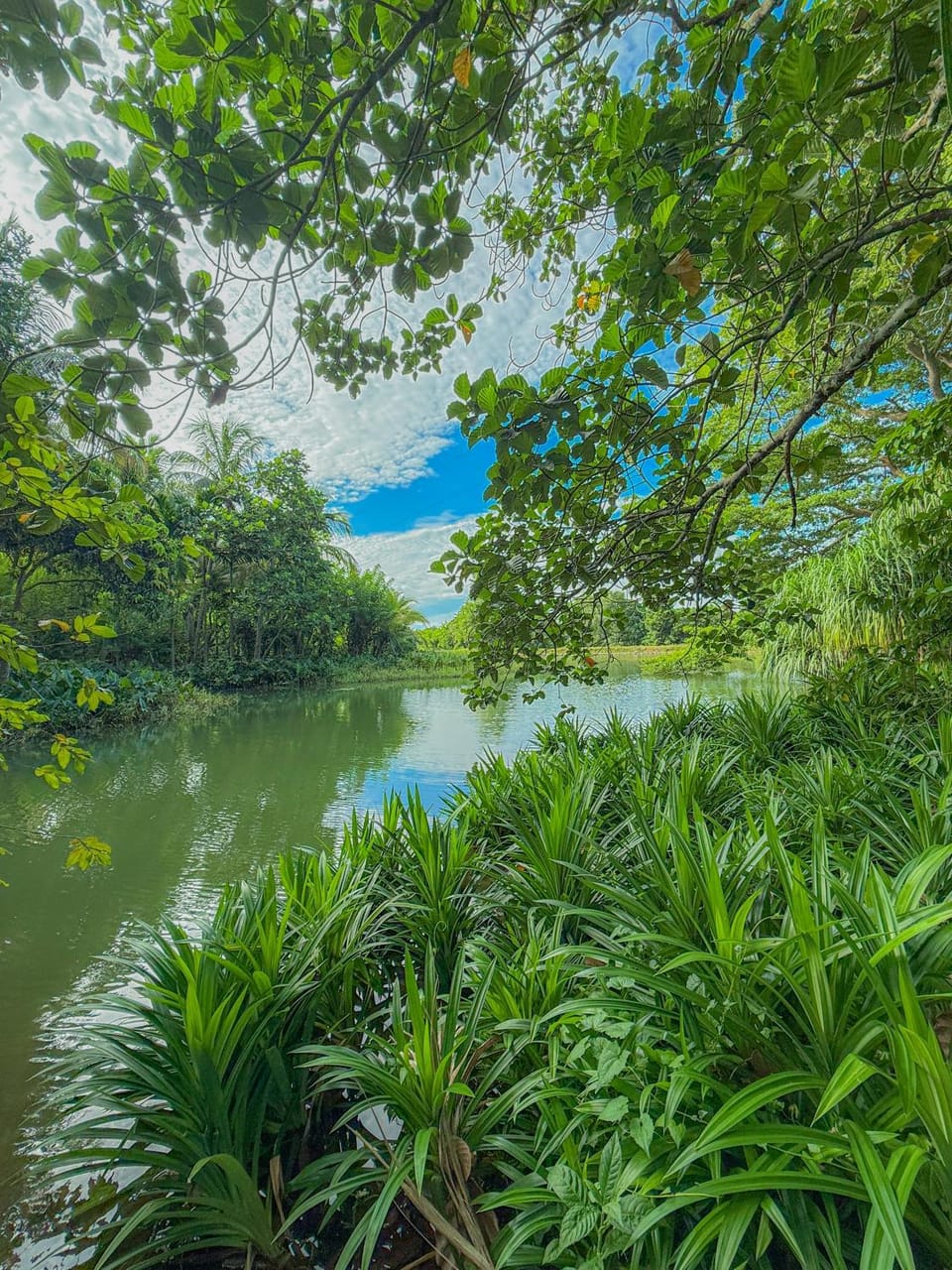 River view