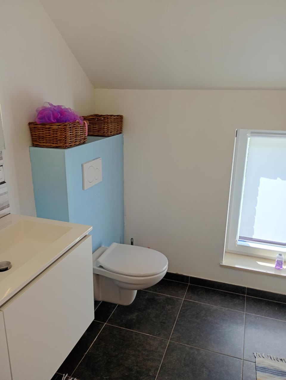 Villa de rêve Vacation rental in Belgium