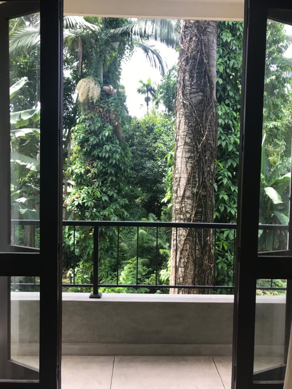 Balcony/Terrace, Garden view