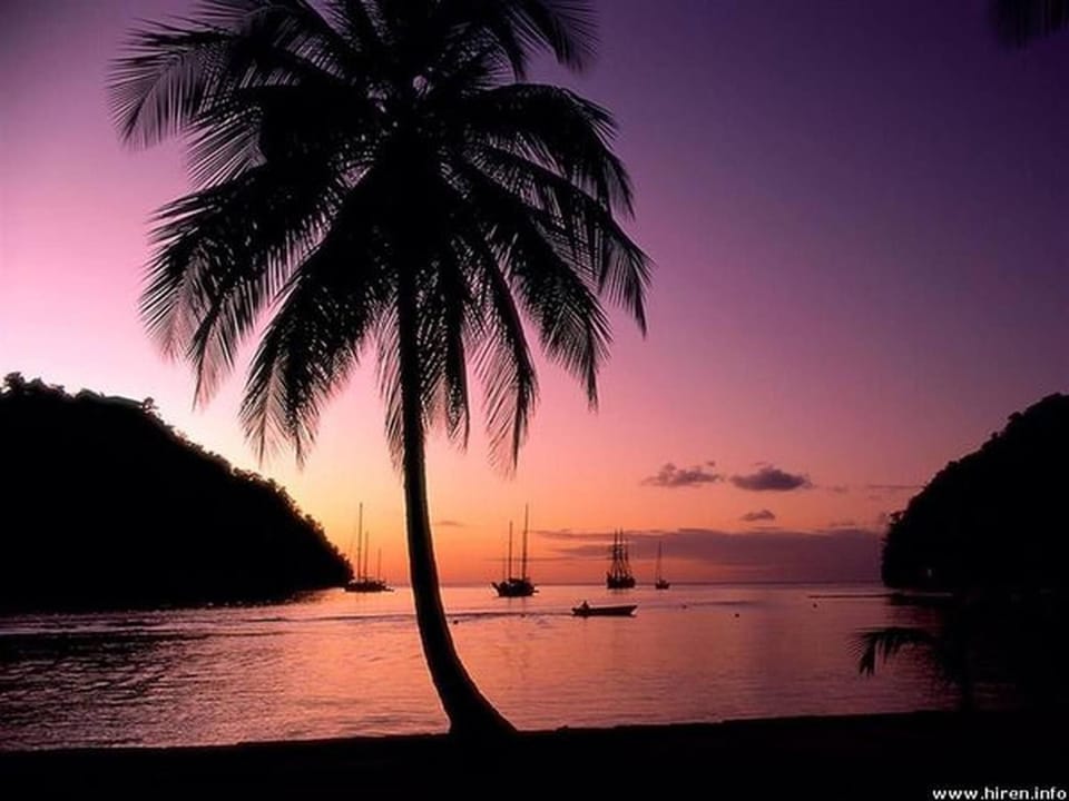 Natural landscape, Beach, Sunset