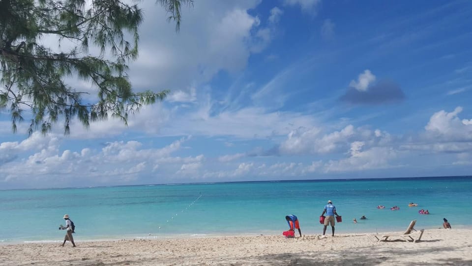 Natural landscape, Summer, Beach
