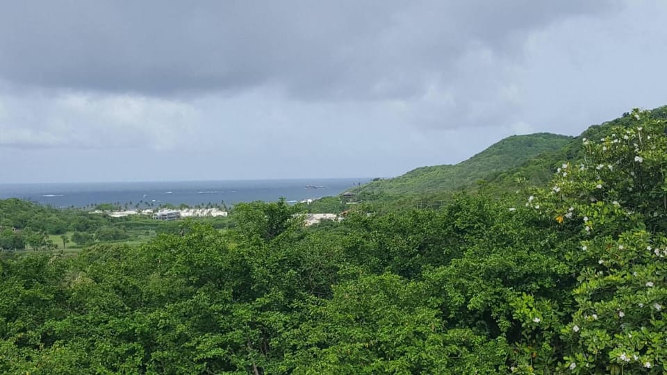Natural landscape