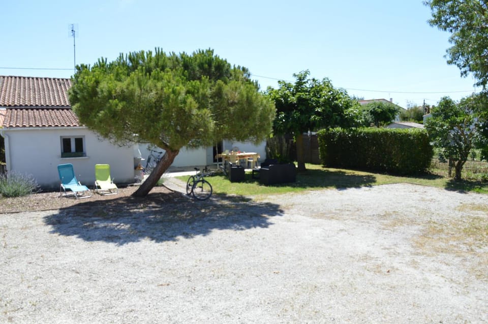 Patio, Garden