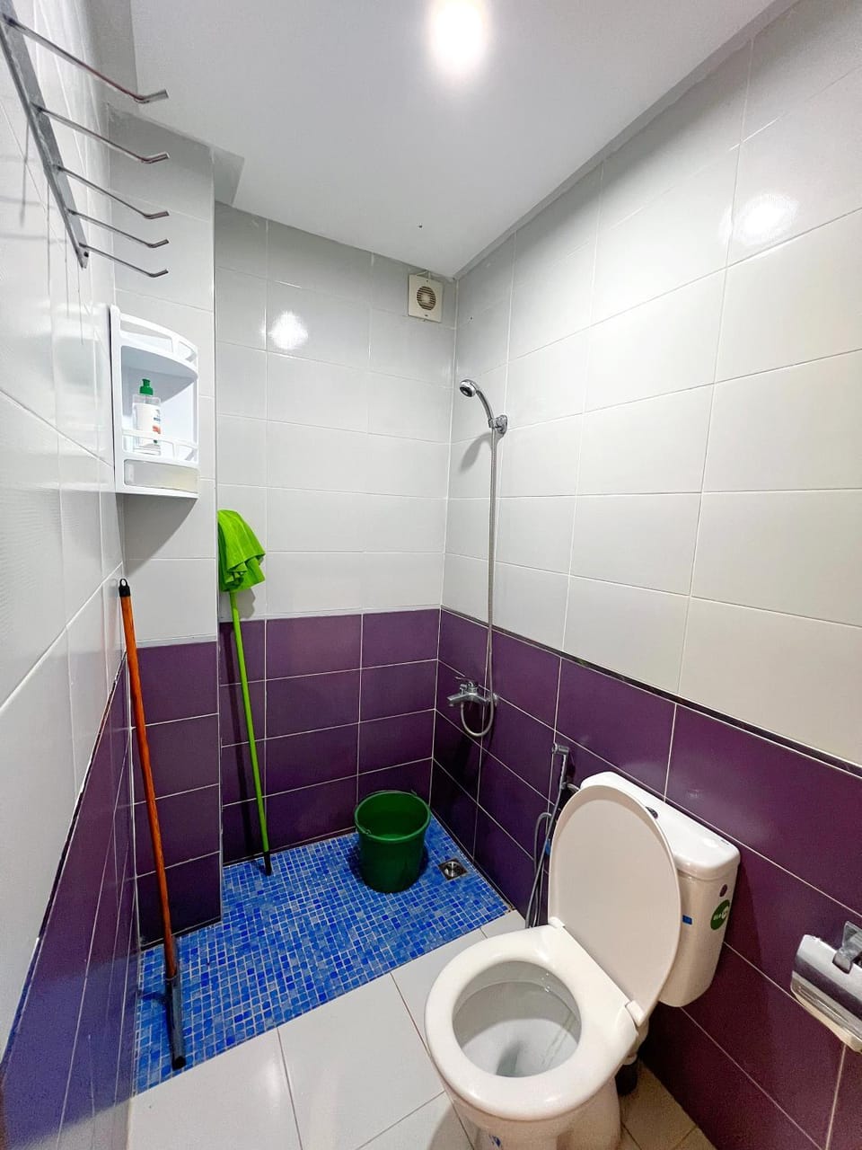 Shower, Toilet, Bathroom, bidet
