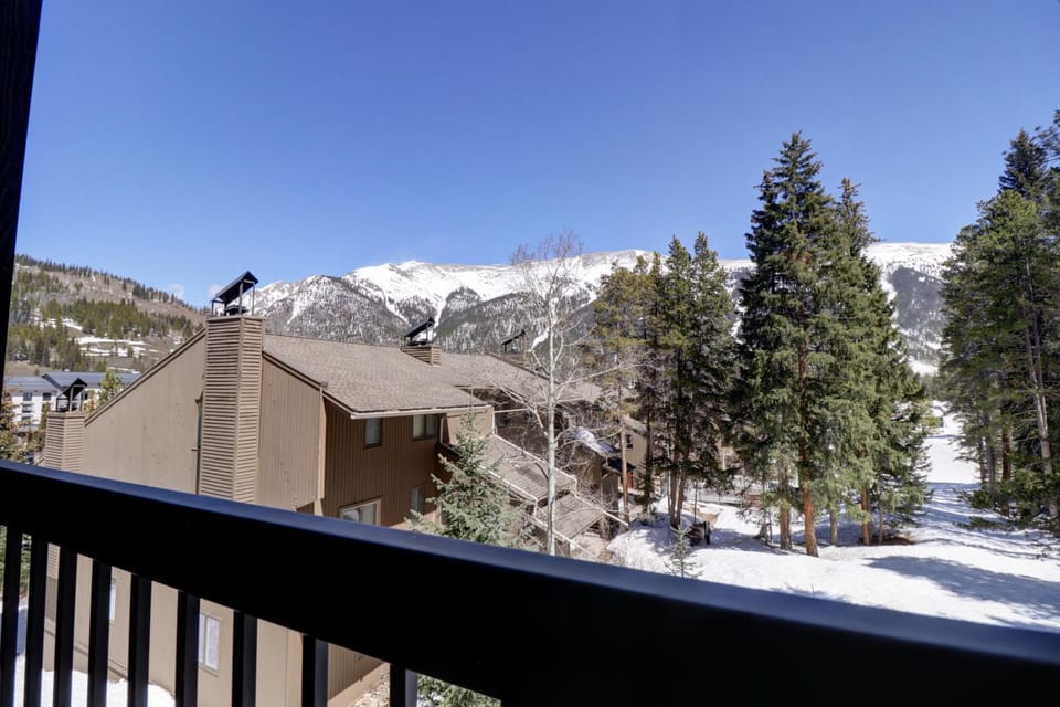 CM325 Copper Mtn Inn - Pet Friendly Apartment in Summit County