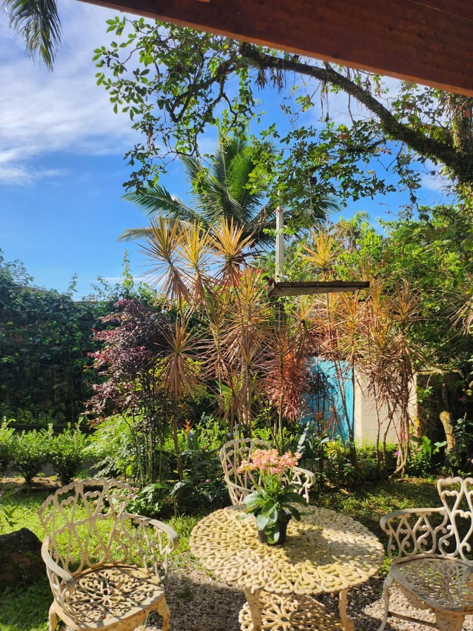 Natural landscape, Garden, Garden view