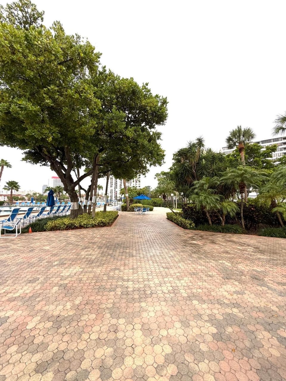 Olympus towers & marina Apartment in Hallandale Beach