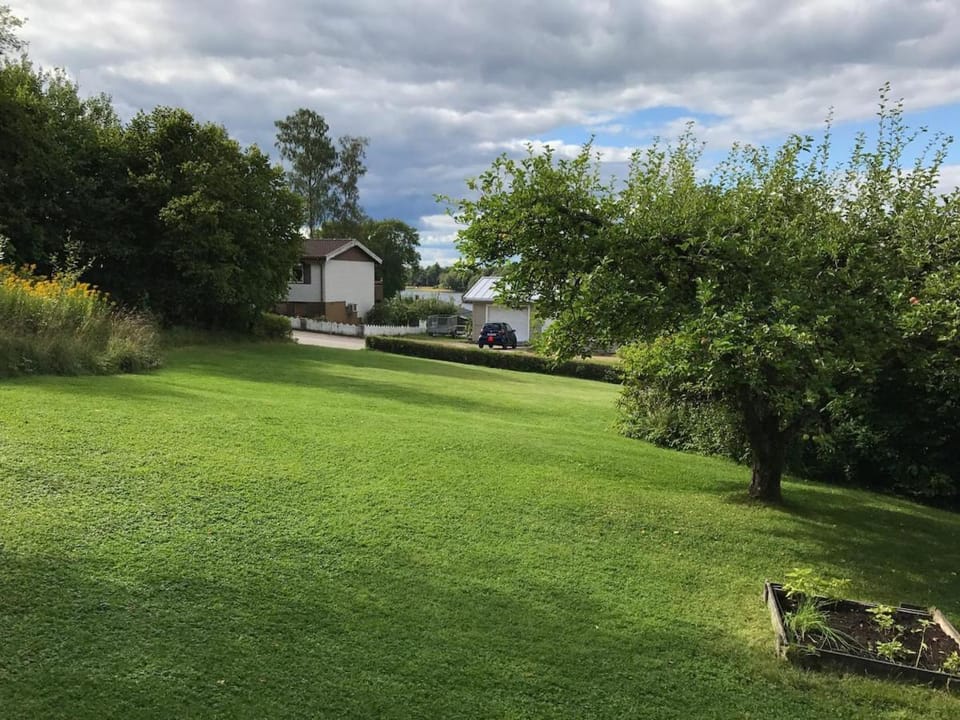 Garden, Garden view
