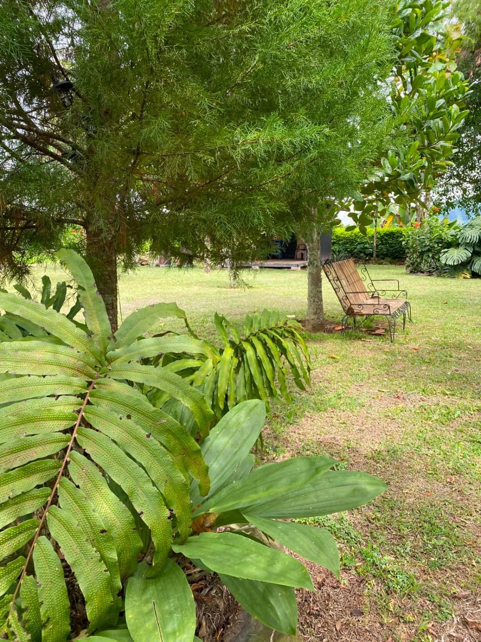 Garden view