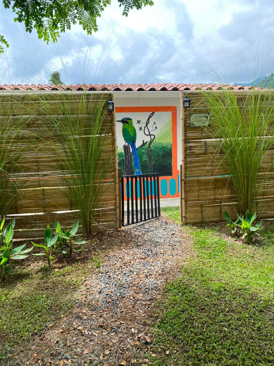 Garden view