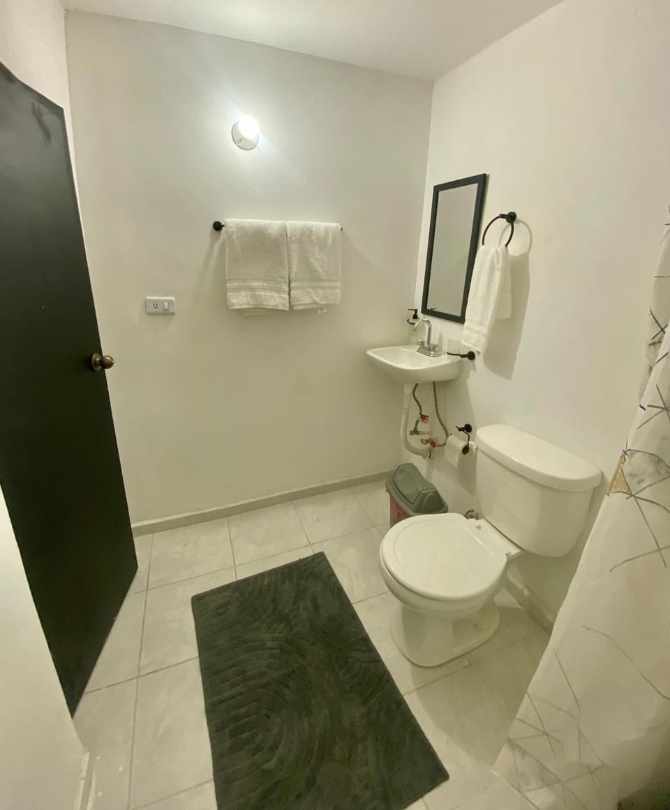 Toilet, Bathroom, towels