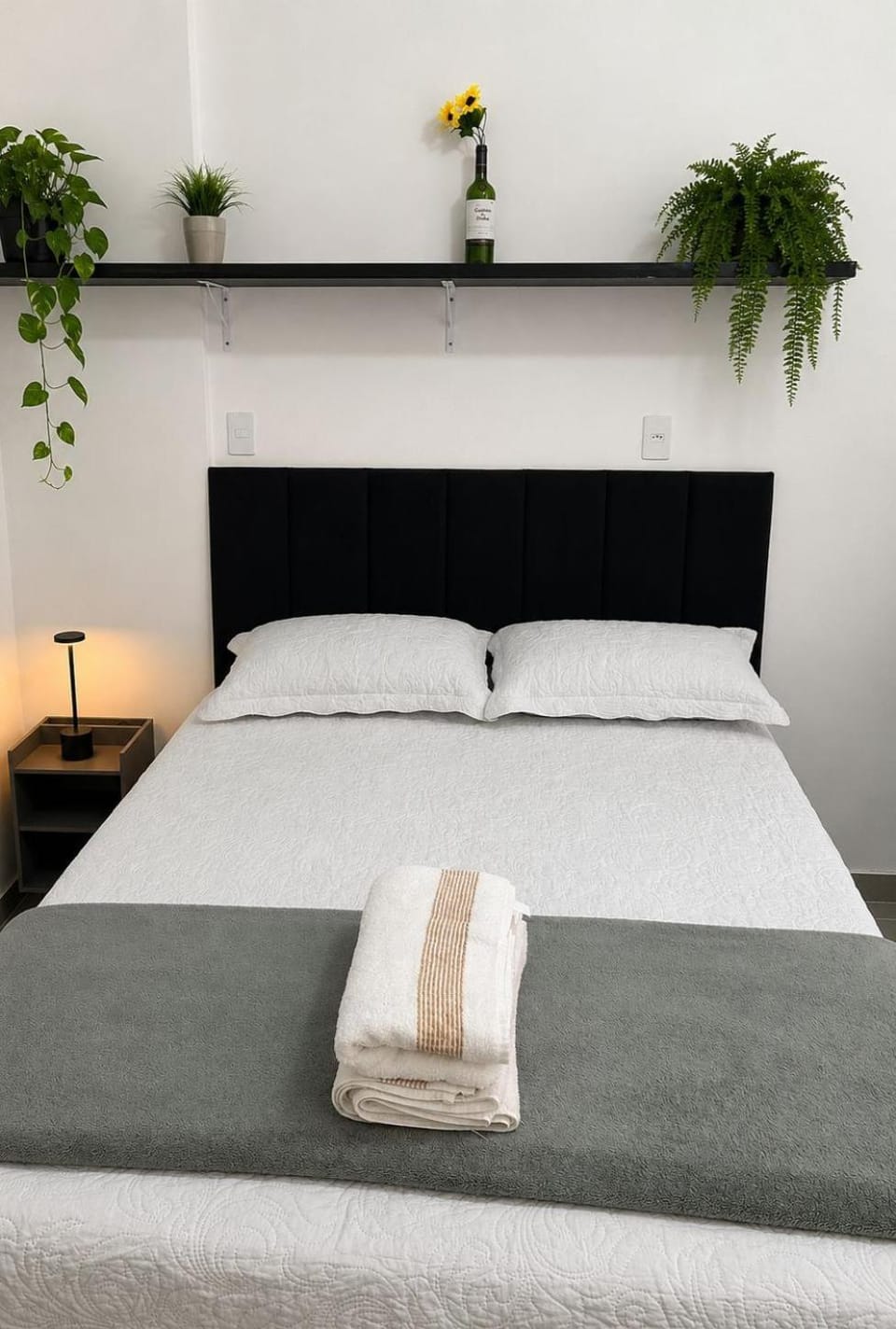 Perfect Studio for a Couple Apartment in Santa Teresa