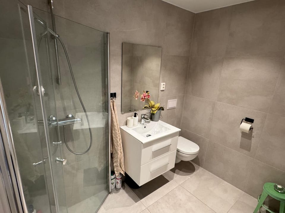 Shower, Toilet, Bathroom, towels