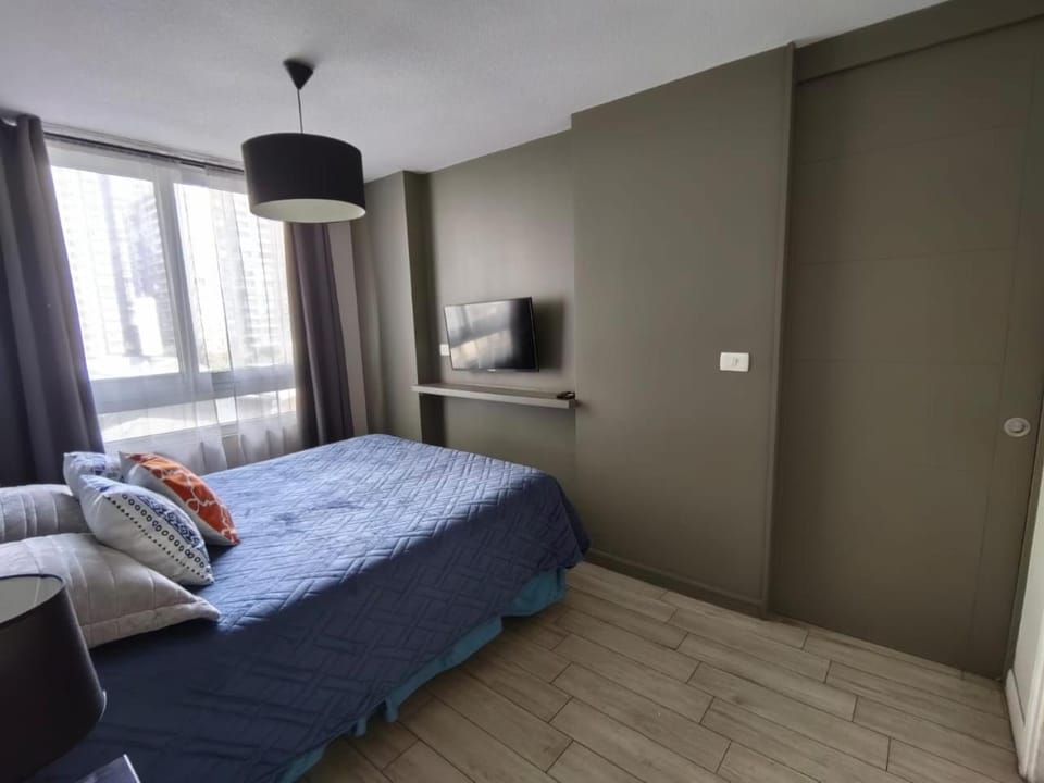 Santa Lucia Apartment in Santiago