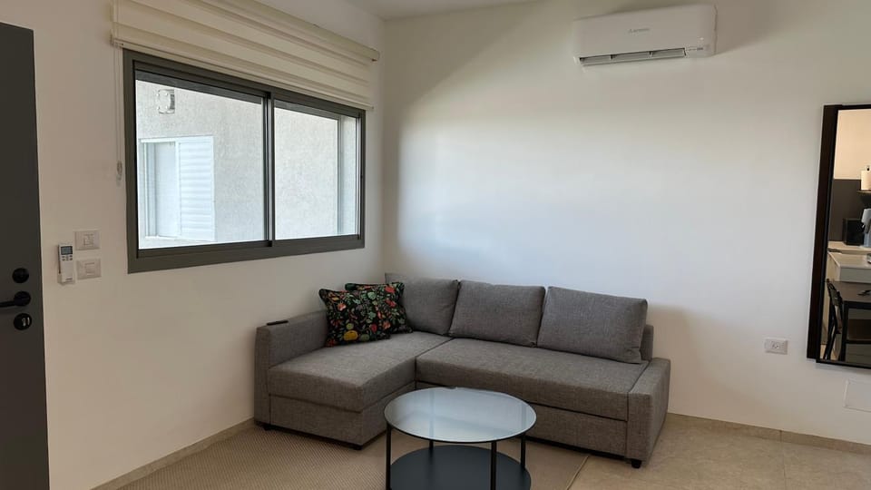 Living room, Seating area, air conditioner