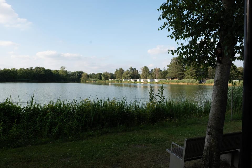 Lake view