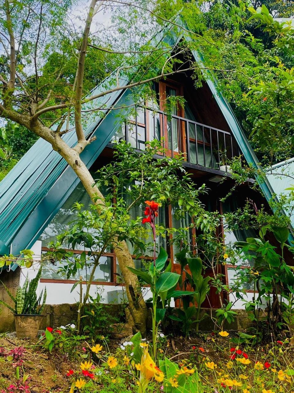 Sha cabin Cabin in Uva Province, Sri Lanka