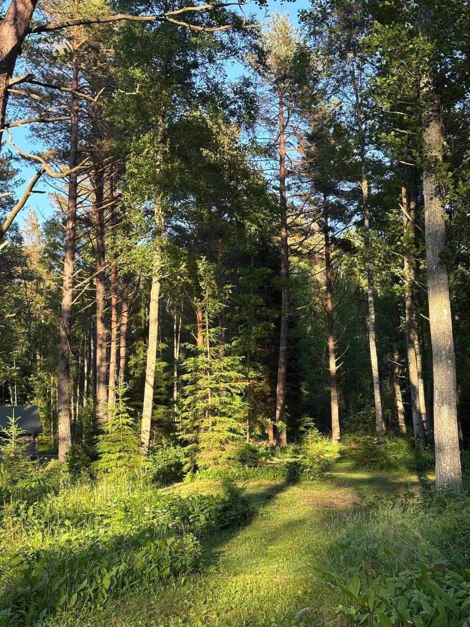 Natural landscape, Garden view