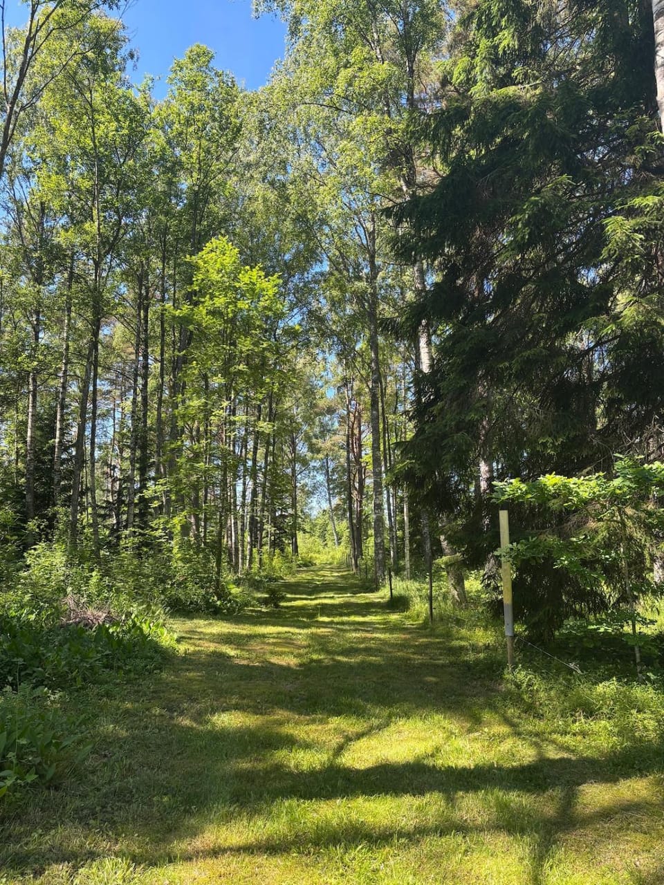 Natural landscape