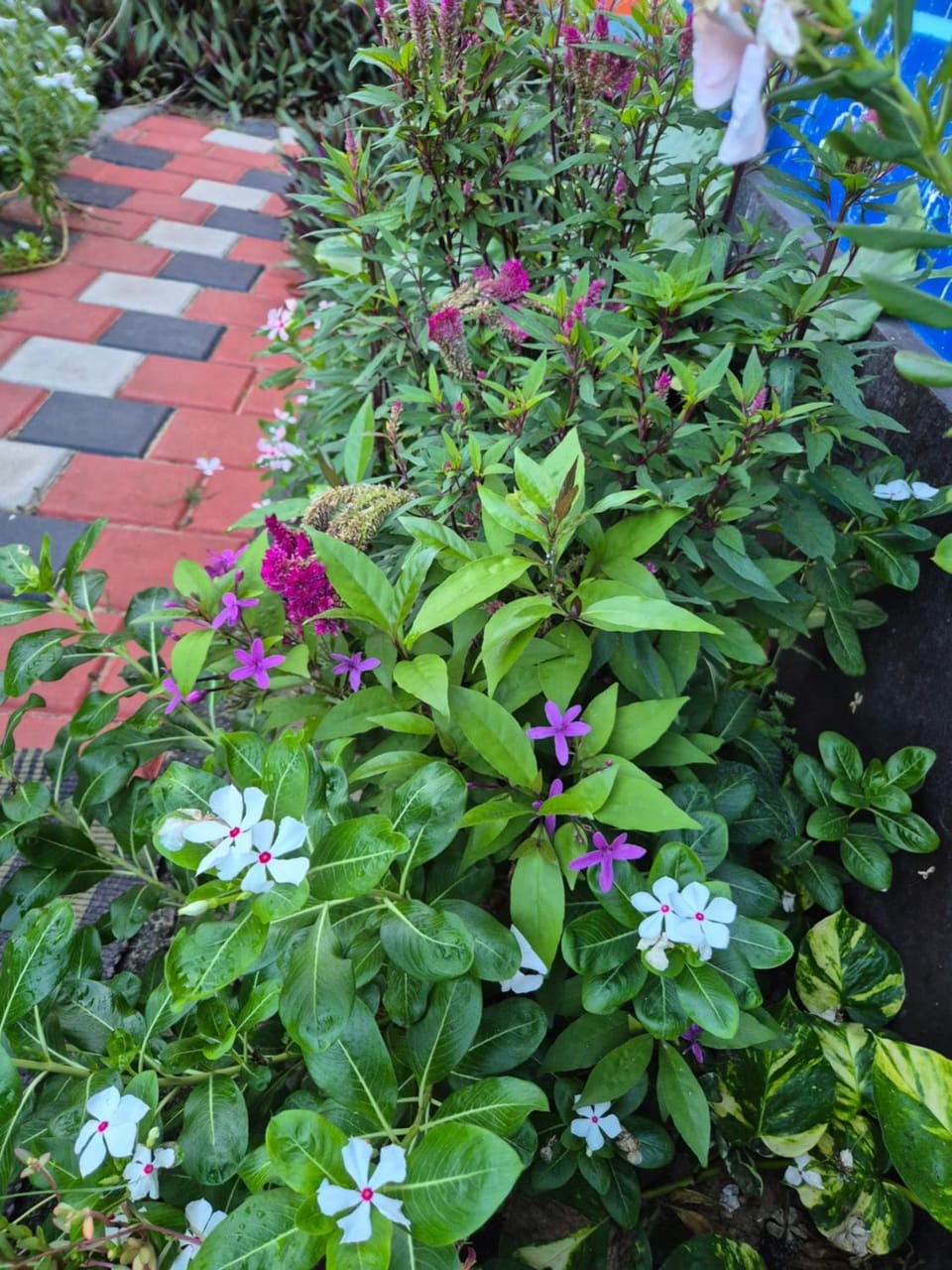 Ocean shanti aura beach stay Bed and Breakfast in Alappuzha