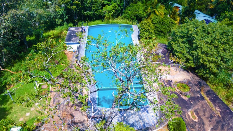 Natural landscape, Garden view
