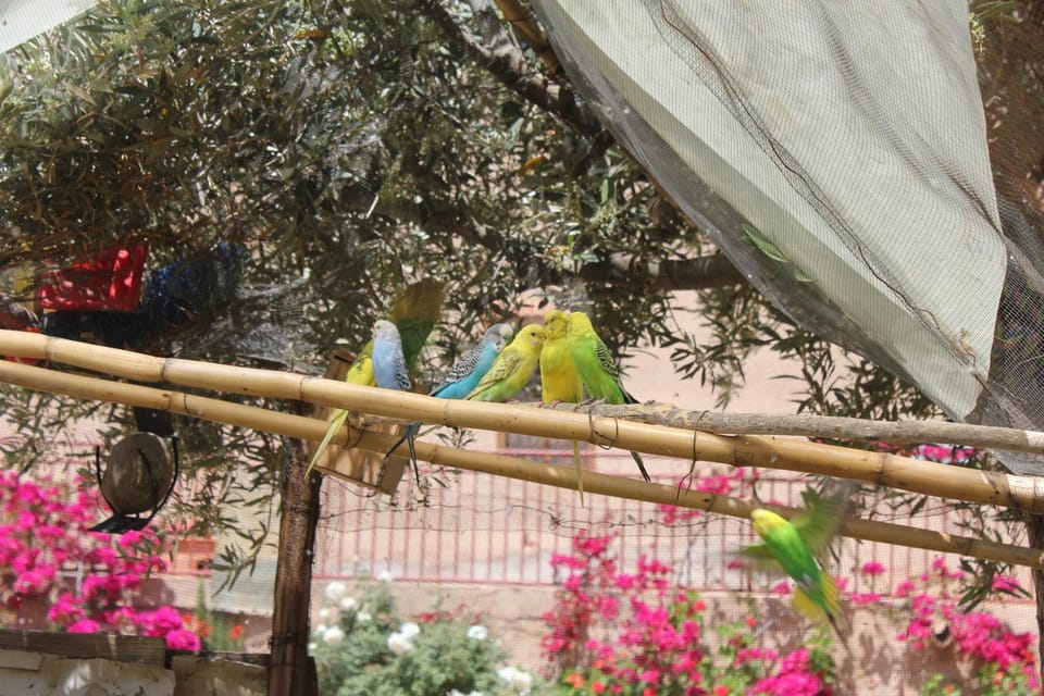 Escale Rando Taliouine Bed and Breakfast in Souss-Massa