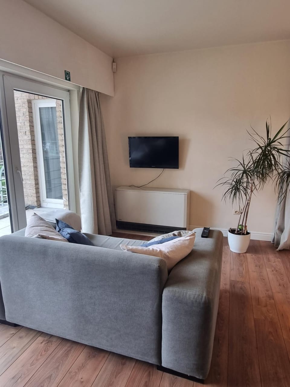 Property building, Neighbourhood, Garden