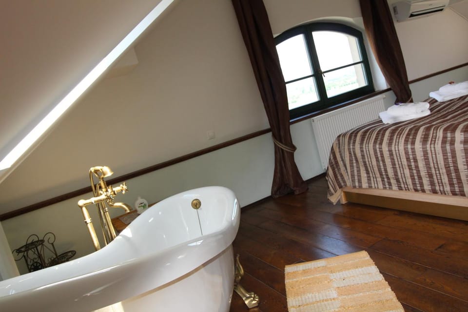 Hotel Vinohrad Hotel in South Moravian Region