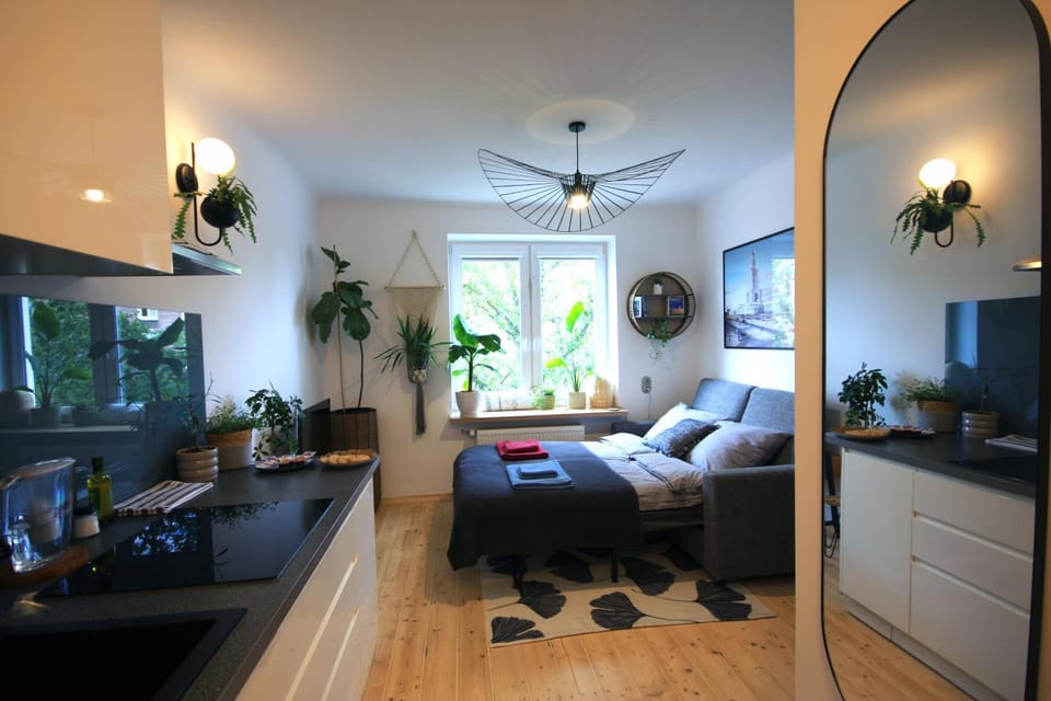 Bed, TV and multimedia, Kitchen or kitchenette, Living room, Seating area, Bedroom, pet friendly, storage, kitchen