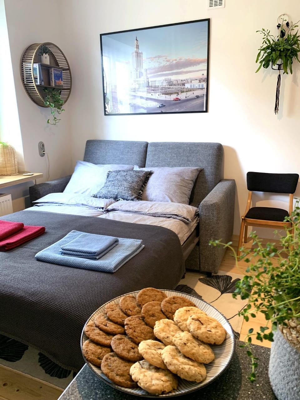 Bed, Food close-up, Food, pet friendly