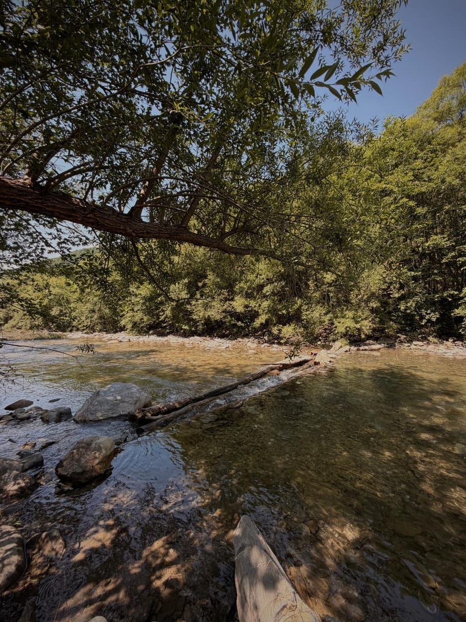 Riverwood Luxury Cabins Cabin in Montenegro