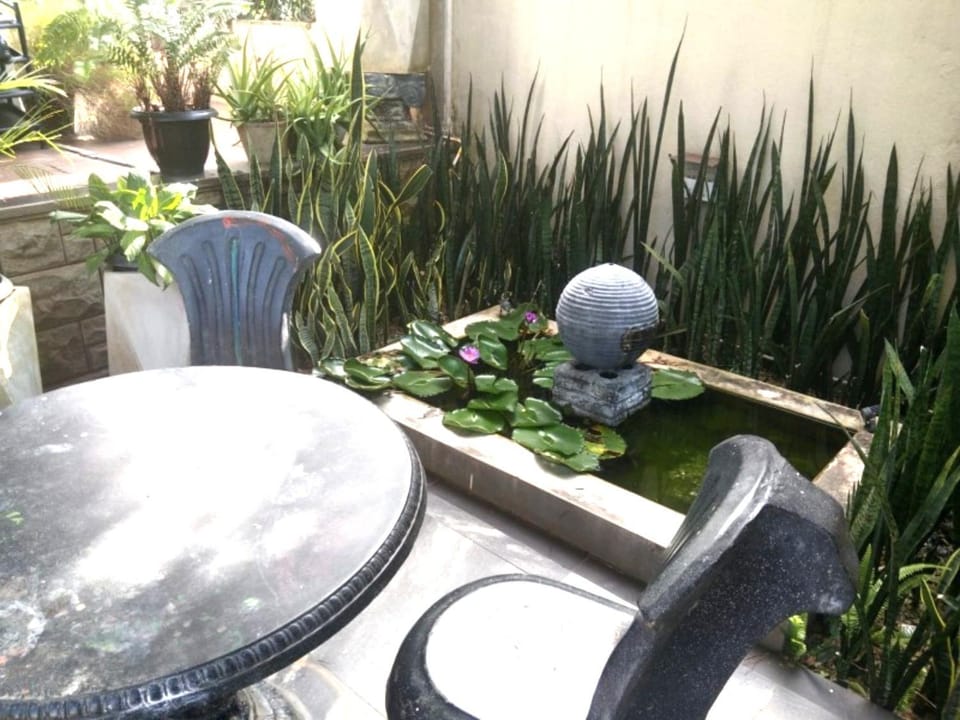 Day, Garden, Garden view