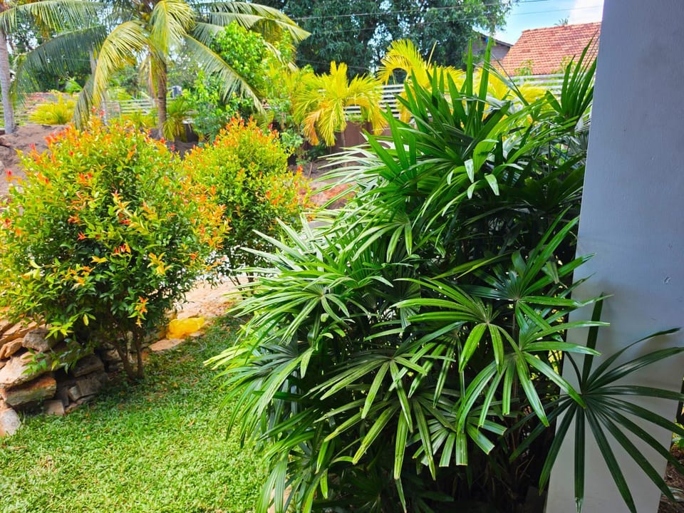 Spring, Garden, Garden view